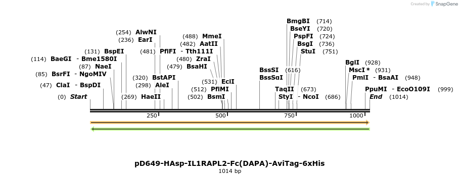 302662_map