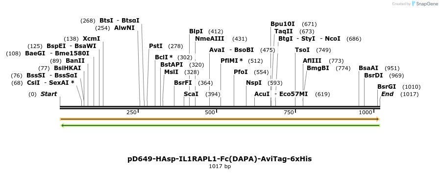 302666_map