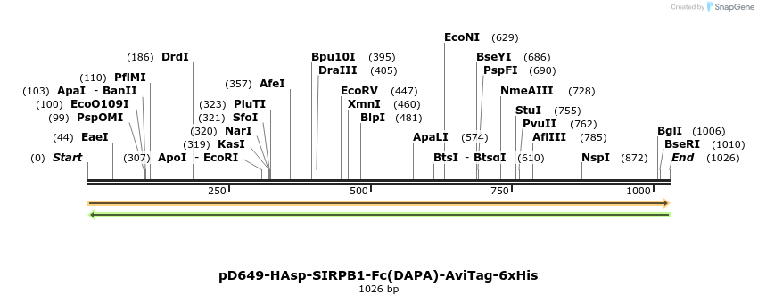 302670_map