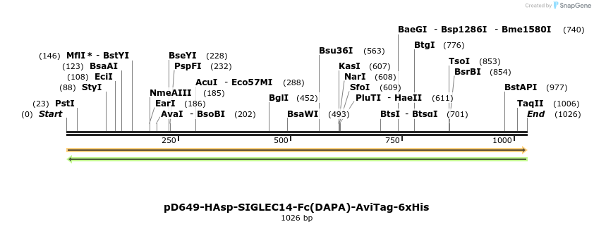 302672_map