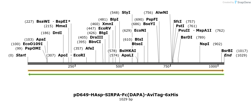 302676_map