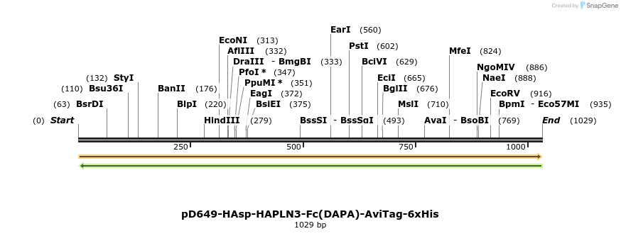 302680_map