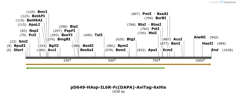 302684_map