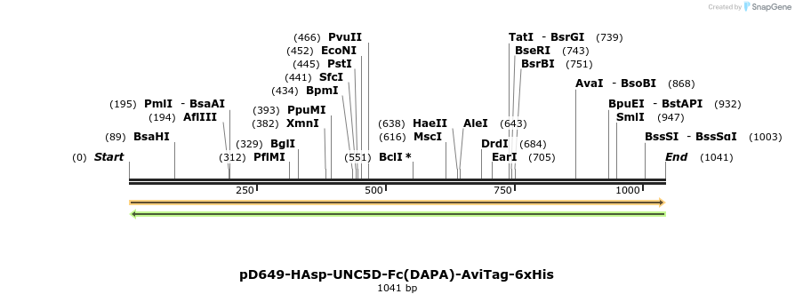 302688_map
