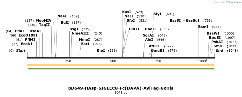 302694_map