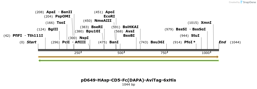 302696_map