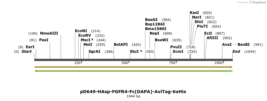 302698_map