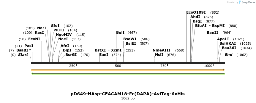 302704_map