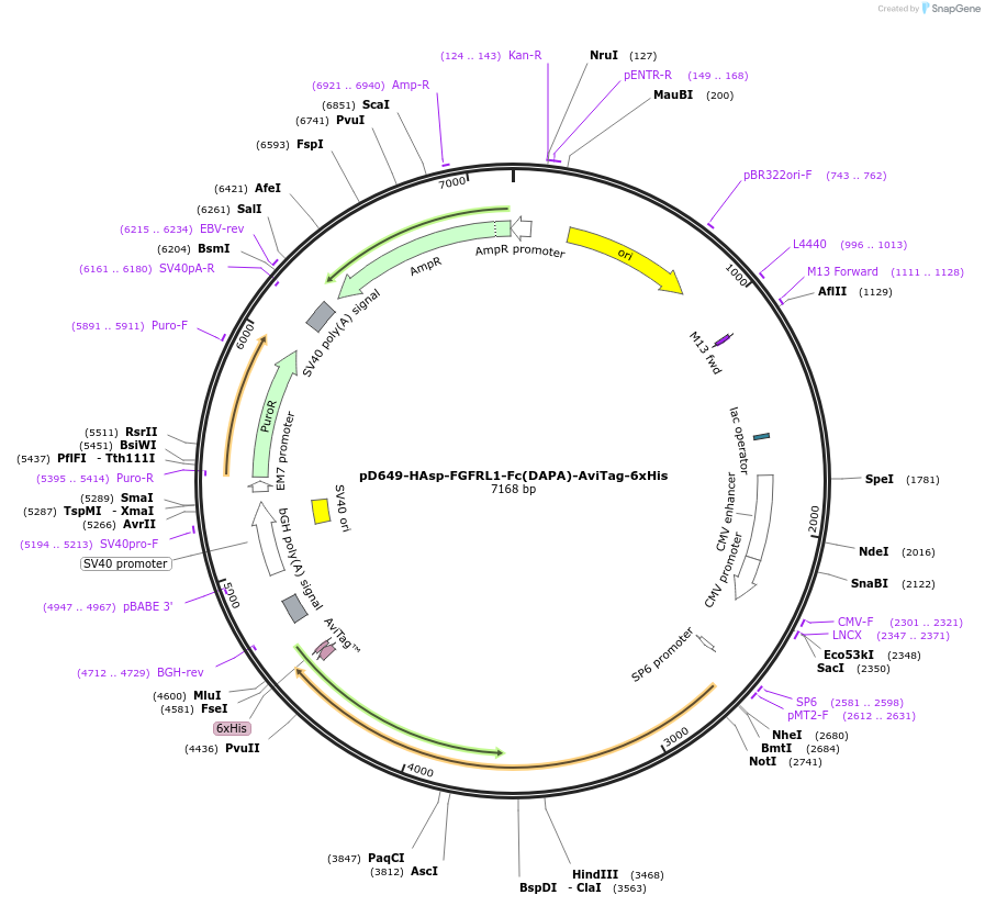 302707_map