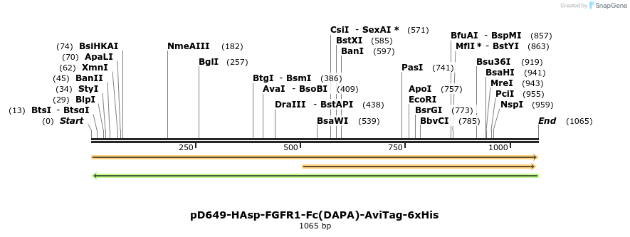 302710_map