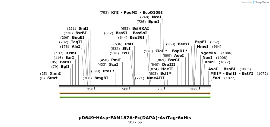 302714_map