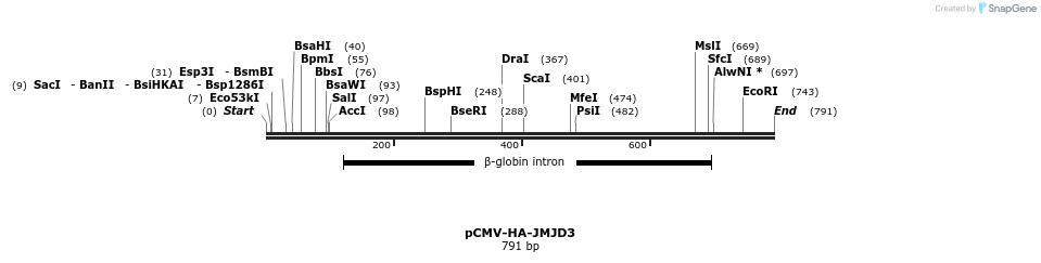 30272_map