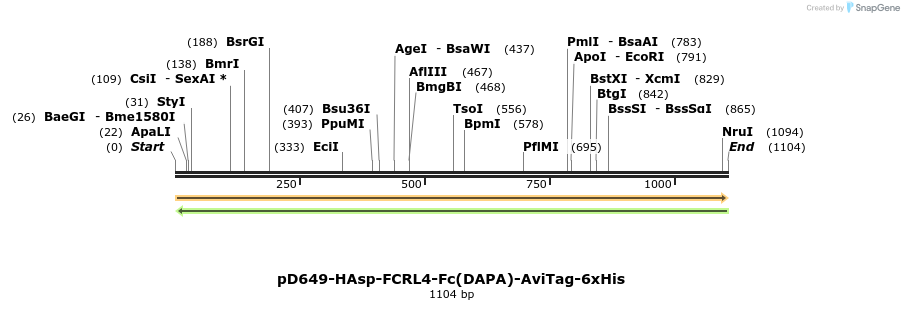 302722_map