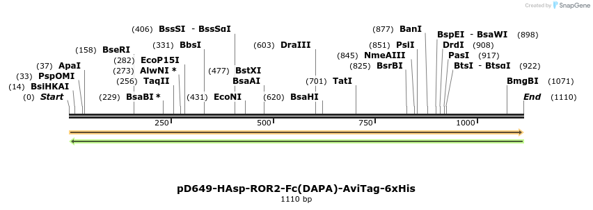 302724_map