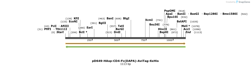 302726_map