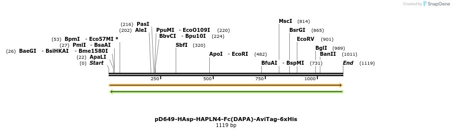 302728_map