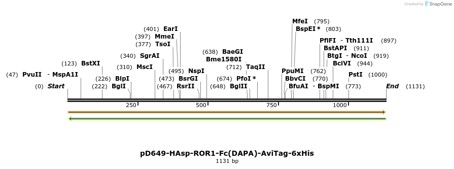 302730_map