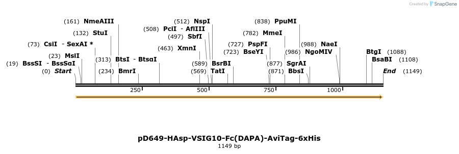 302736_map