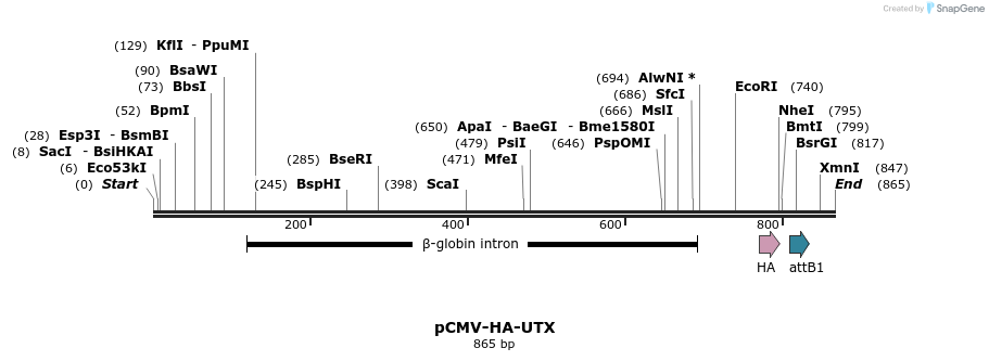 30274_map
