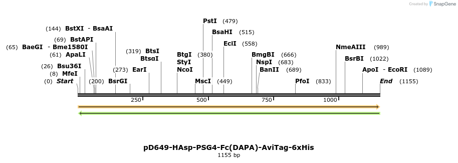 302742_map