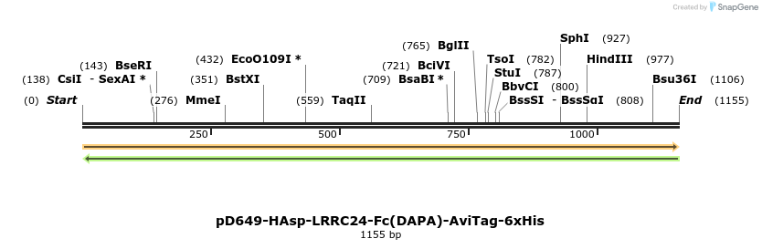 302746_map
