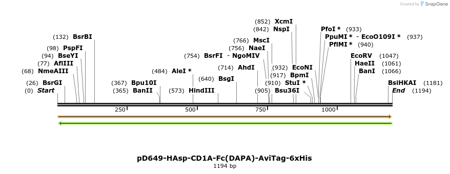 302770_map
