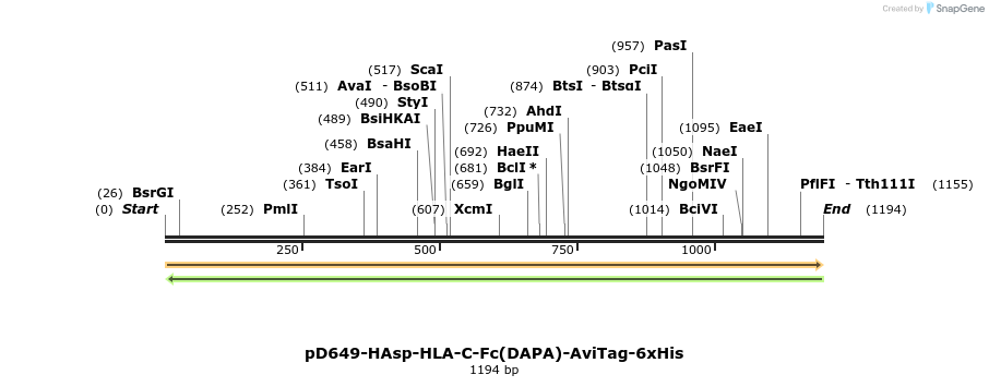 302772_map