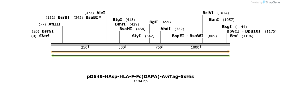 302778_map