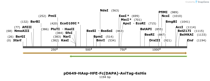 302784_map