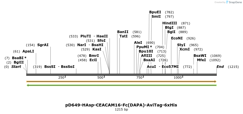 302794_map