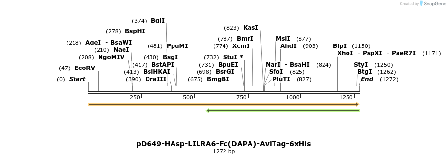 302814_map