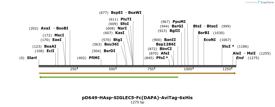 302816_map