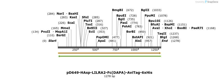 302822_map