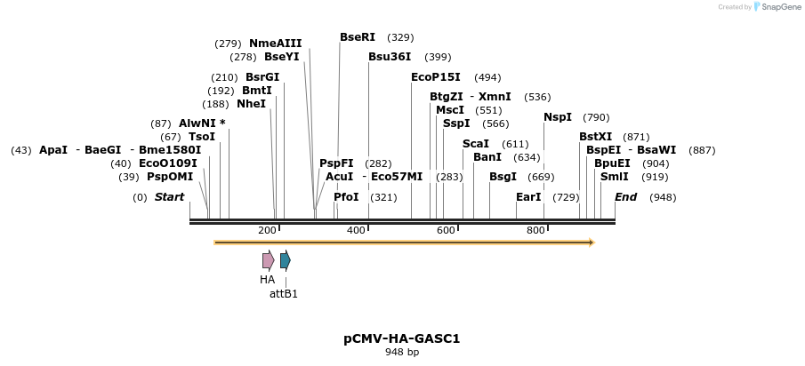 30283_map