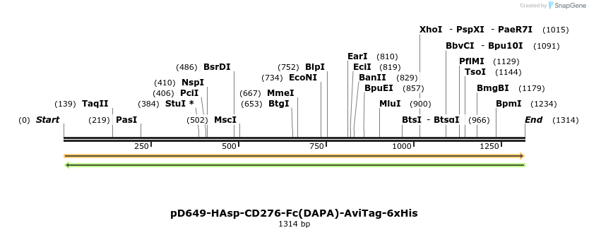 302832_map