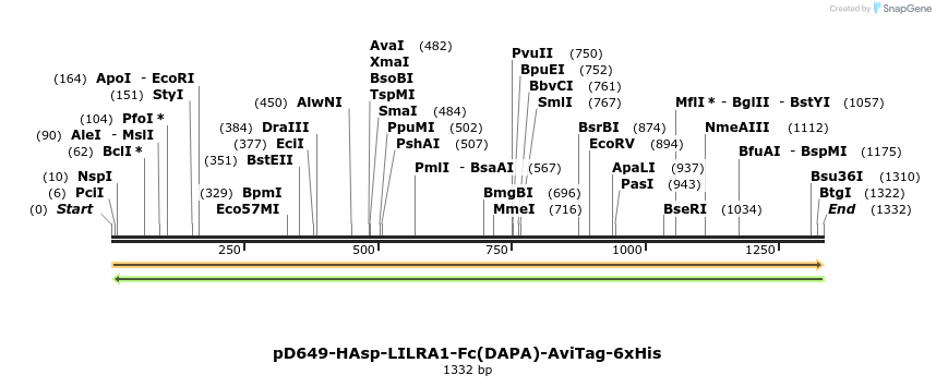 302842_map