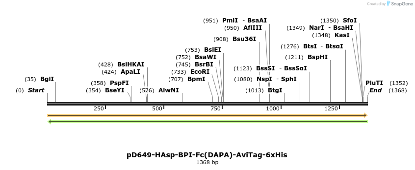 302848_map