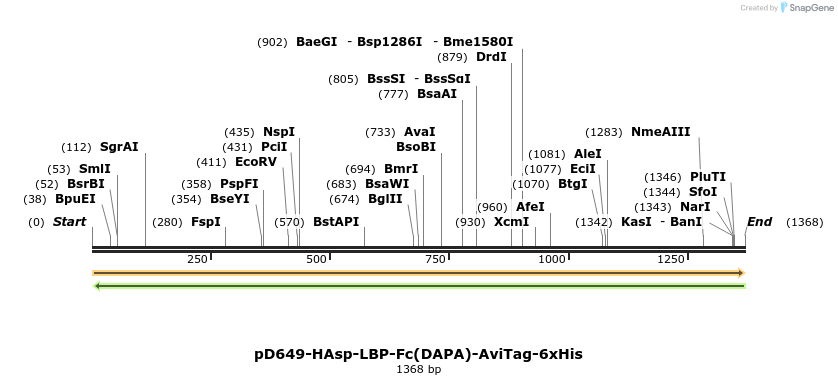 302850_map
