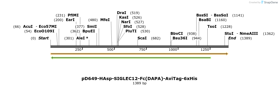 302854_map