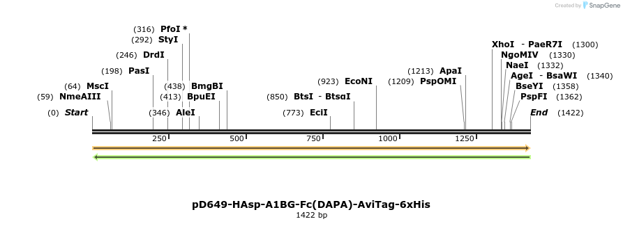 302860_map