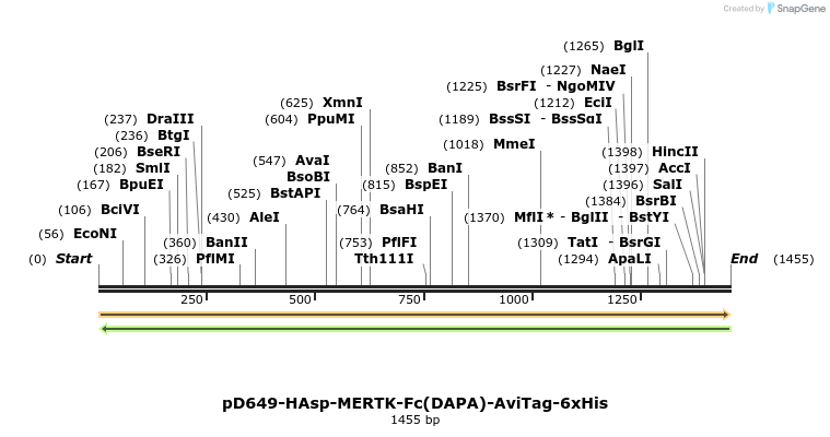 302866_map