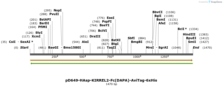 302870_map