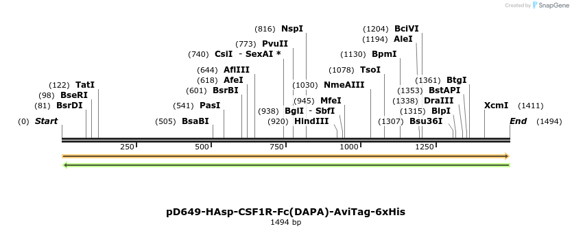 302876_map