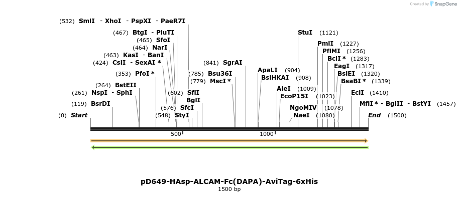 302884_map