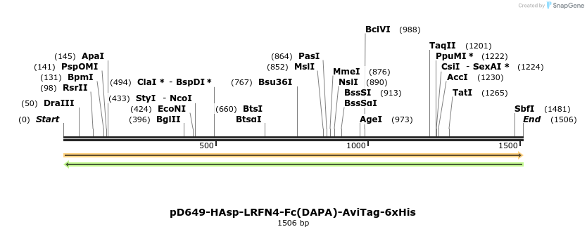 302886_map