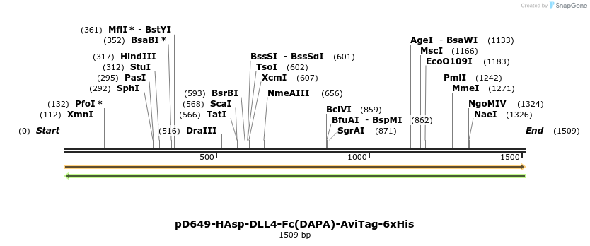 302888_map
