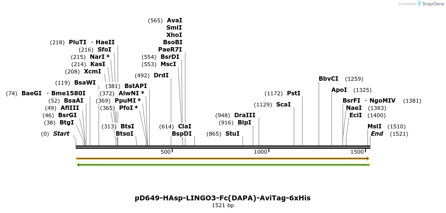302898_map