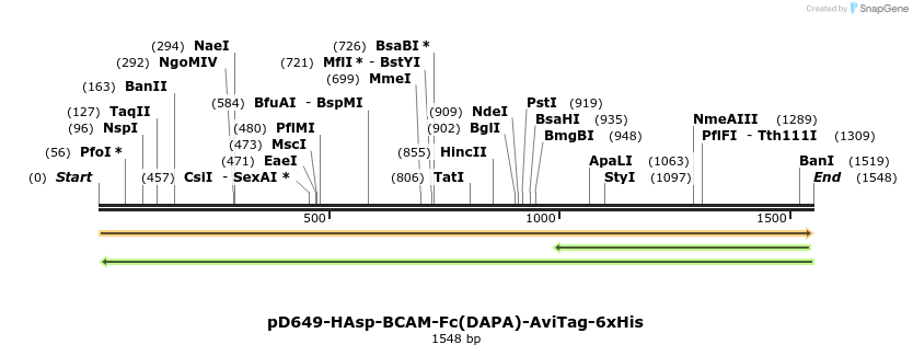 302906_map