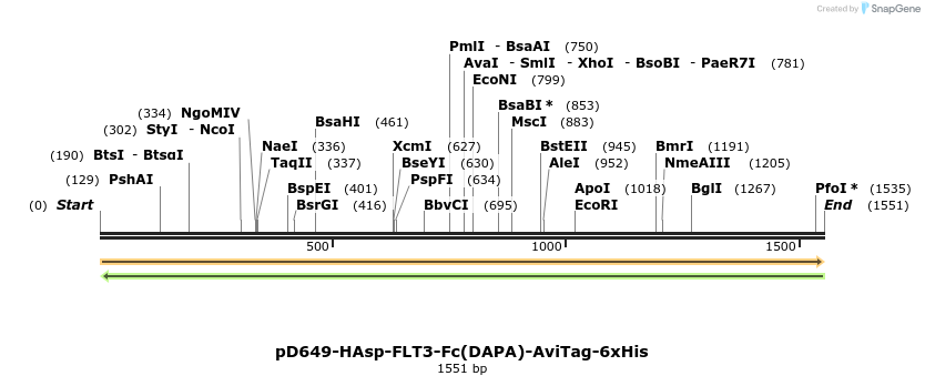 302908_map