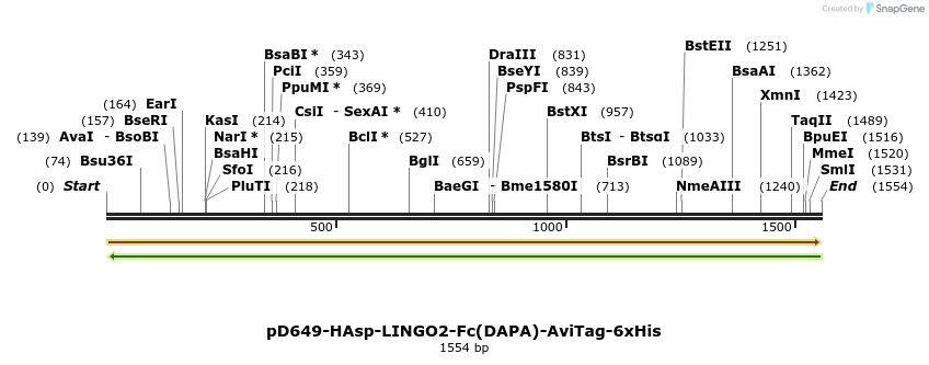302910_map